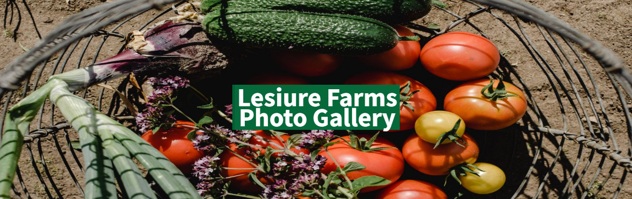 Leisure Farms - Farming & Agricultural Services in Sturgeon Falls, Ontario